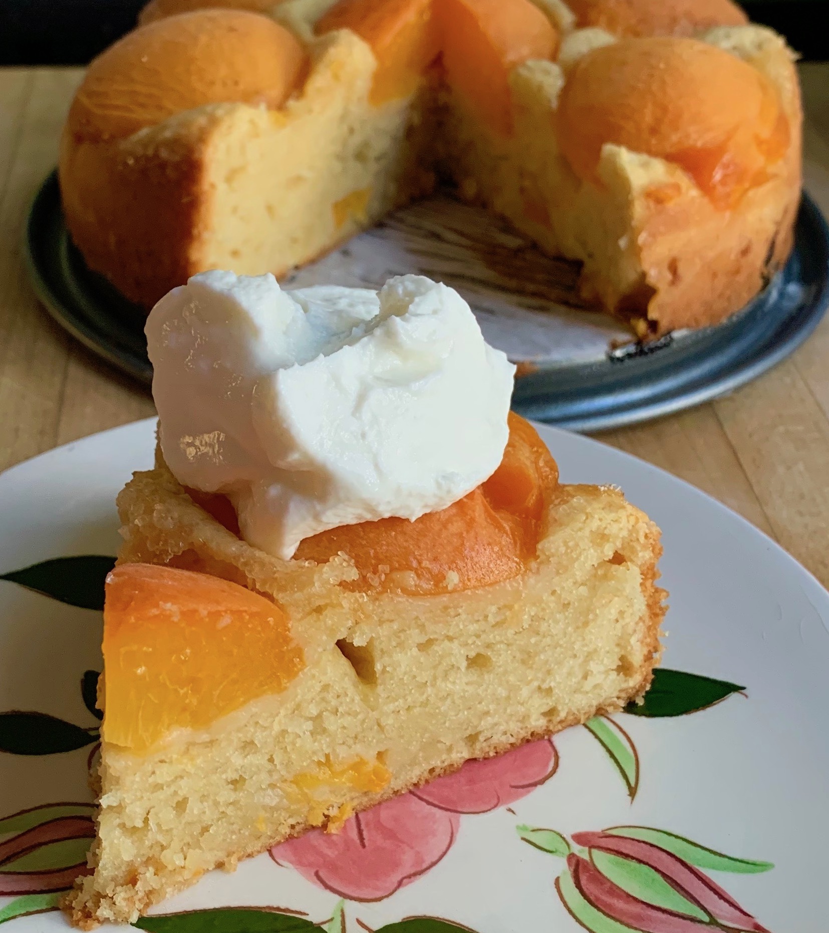 Austrian Apricot Cake Recipe - Made with Grapeseed Oil